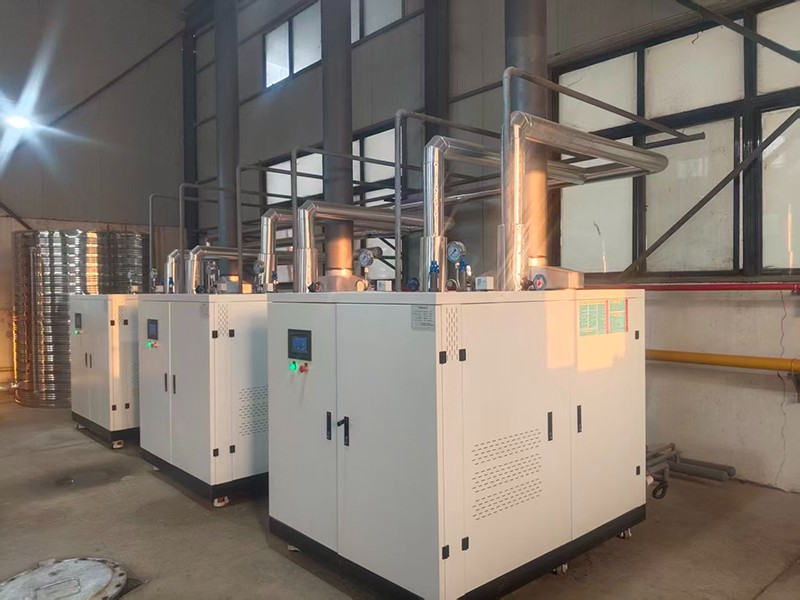 全預(yù)混燃?xì)庹羝l(fā)生器案例